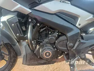 2025 BAJAJ DOMINAR — leilão em Goiânia/GO (foto 6)
