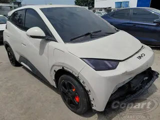 2025 BYD DOLPHIN MINI — leilão em Caçapava/SP