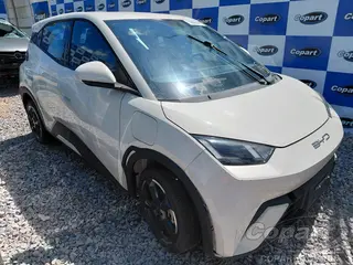 2025 BYD DOLPHIN MINI — leilão em Vitória De Santo Antão/PE