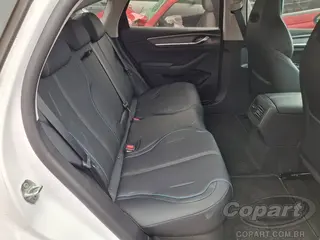 2027 BYD KING — leilão em Betim/MG (foto 6)