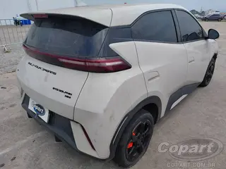2025 BYD DOLPHIN MINI — leilão em Caçapava/SP (foto 4)