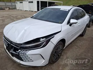 2027 BYD KING — leilão em Betim/MG (foto 2)
