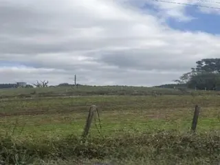 Localização dos imóveis: Farroupilha-RS. 03 imóveis rurais: 1) Um Pedaço de Terra Rural c/ 188.453 — leilão em Internet (São Paulo/SP (foto 2)