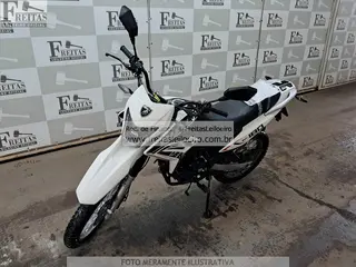 I/BASHAN BULL BM-T 180 — leilão em Santa Barbara D Oeste/SP