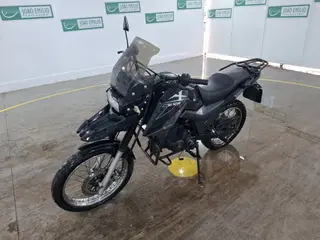 SHINERAY SHI 175 — leilão