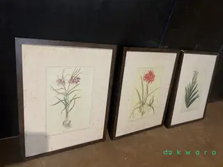 Aprox. 20 quadros diversos — leilão em Foz Do Iguaçu/PR