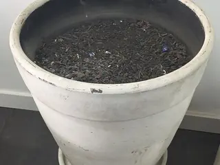 Vaso — leilão em São Bernardo Do Campo/SP