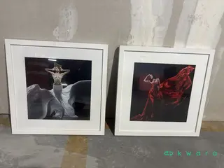 2 Quadros — leilão em São Paulo/SP