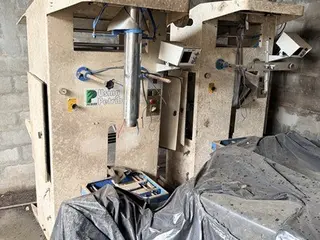 Lote com: 2 Empacotadoras; Fabricante Raumark 5 Kg - Motor de indução trifásico Erbele — leilão