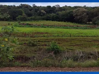 SÍTIO - Lote Rural nº 178, Gleba 33-AM, Núcleo Ampére, Colônia Missões, Santa Izabel do Oeste/PR, Área de 29.000m² — leilão em Santa Izabel do Oeste/PR