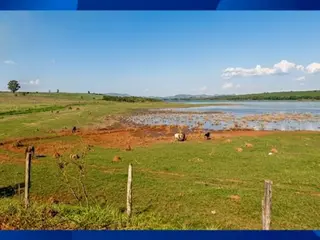 GLEBA DE TERRAS - Parte da Fazenda Barreiro Preto, terras pastais e lavradias, Caracol/MS, Área de 304 hectares e 290m² (3.040.290m²) — leilão em CARACOL/MS