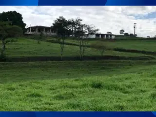 Fazenda Cruzeiros , Uberlandia, com area total de 133,4239ha — leilão em UBERLÂNDIA/MG