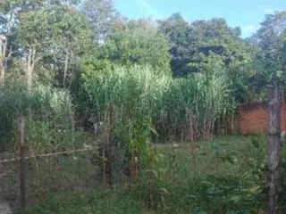 Casa 178 m² - Caldas do Oeste - Caldas Novas - GO — leilão em Caldas Novas/GO (foto 15)
