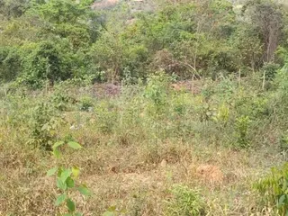 ESMERALDAS/MG — Lote com 1.350,00m² no Retiro das Esmeraldas — leilão em Esmeraldas/MG (foto 8)