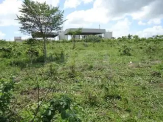 CAMPOS DOS GOYTACAZES/RJ — Terreno com 36.370,71 m² no Parque Jardim Aeroporto — leilão em Campos dos Goytacazes/RJ (foto 5)