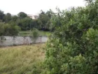 BORDA DA MATA/MG — Lote com área de 209,70m² no bairro Santa Rita — leilão em Borda da Mata/MG