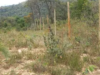 ESMERALDAS/MG — Lote com 1.350,00m² no Retiro das Esmeraldas — leilão em Esmeraldas/MG (foto 5)
