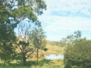 SÃO ROQUE DE MINAS/MG – Área rural com 104,85,80ha, denominada Fazenda Thalayas II - Parcelas 1 e 2 — leilão em São Roque de Minas/MG