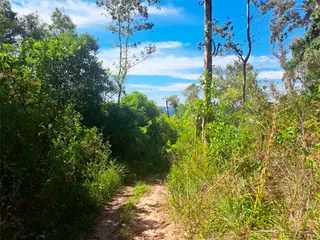 Terreno - Bento Gonçalves - RS — leilão em Bento Gonçalves/RS