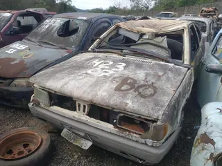 GOL — leilão em Campos do Jordão/SP