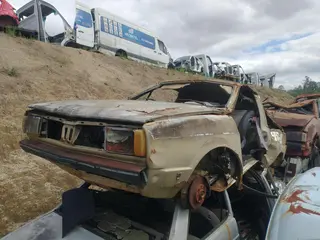 GOL LS — leilão em Campos do Jordão/SP