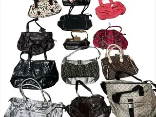 BOLSAS, MOCHILAS, MALAS, DIVERSAS (77 UN) — leilão em São Caetano do Sul