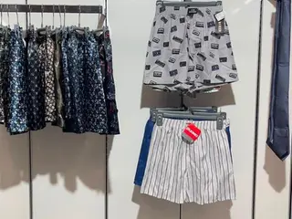 GRAVATA POLIÉSTER, CUECA SAMBA-CANÇÃO, SUNGA MICROFIBRA E OUTROS (APROX. 151 PÇS) — leilão em São José (foto 4)