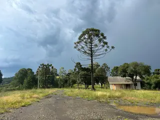 IMÓVEL RURAL COM ÁREA TOTAL DE 40.333,33 M2 EM LEBON RÉGIS-SC — leilão em Lebon Régis/SC (foto 5)