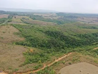 FAZENDA "BOA VISTA" EM FORMIGA/MG. — leilão em Formiga/MG (foto 3)