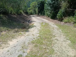 IMÓVEL RURAL COM ÁREA TOTAL DE 20.000,00 M2 EM ANITÁPOLIS-SC — leilão em Anitápolis/SC (foto 11)