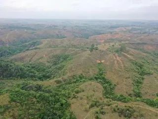 FAZENDA "PONTE ALTA E CAN CAN MEIO" EM BAMBUÍ/MG. — leilão em Bambuí/MG (foto 5)