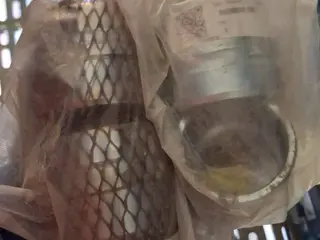 PLUG E ANEL — leilão em Aripuanã (foto 2)