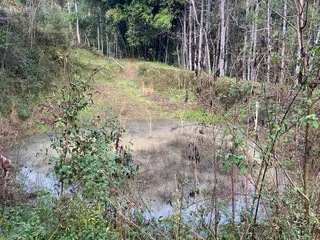 IMÓVEL RURAL COM ÁREA TOTAL DE 11.005,95m2, EM CONCÓRDIA-SC — leilão em Concórdia/SC (foto 13)