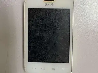 01 aparelho celular da marca LG — leilão em Pedrinhas/SE