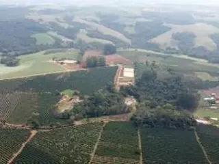 IMÓVEL RURAL COM ÁREA TOTAL DE 21.323m² - EM PINHALÃO-PR — leilão em Pinhalão/PR (foto 5)