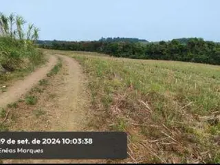 Imóvel Rural com área de 55,6ha, com benfeitorias não reprodutivas. Localizado no Município de Enéas Marques/PR. — leilão em Enéas Marques/PR
