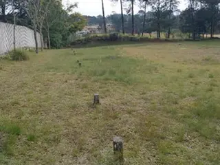 Jazigo, situado na quadra 19, sendo ele o lote 3, medindo 2,5m por 1,5m, São José dos Pinhais - PR — leilão em São José dos Pinhais/PR