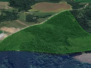 Terreno rural 259380m², Rio Negrinho/SC — leilão em Rio Negrinho/SC (foto 2)