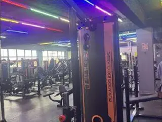 Hack Flex Classic — leilão