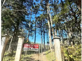 Sitio com área total de 120.974,16m², localizado Borda do Campo em São José dos Pinhais/PR — leilão em São José dos Pinhais/PR (foto 25)