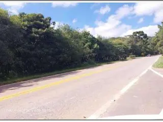 Terreno Rural com área de 36,3 hectares, situado no lugar denominado "GRAMADINHO", Município de Bocaiúva do Sul. — leilão em Bocaiúva do Sul/PR (foto 3)