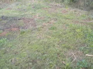 DIREITOS POSSESSÓRIOS SOBRE O IMÓVEL RURAL DENOMINADO "CHÁCARA DO CAMPO", LOCALIZADO EM TERRA BOA- CAMPO MAGRO/PR — leilão em Campo Magro/PR (foto 5)
