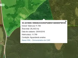 Terreno rural 259380m², Rio Negrinho/SC — leilão em Rio Negrinho/SC (foto 3)