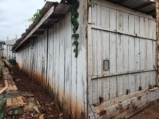 ESTRUTURA DE MADEIRA DO TIPO (GALPÃO) E MADEIRAS DE UM GALPÃO DESMONTADO — leilão em Planalto/PR (foto 3)