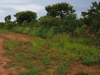 IMÓVEL RURAL COM ÁREA TOTAL DE 78,8642 hectares Em ORIZONA-GO, AVALIADO EM R$ 4.463.118,45 — leilão em Piracanjuba/GO (foto 4)