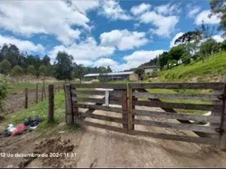 Terreno rural com área de 21,99 hectares - com benfeitorias - Localizado no Município de Bocaiúva do Sul/PR. — leilão em Bocaiúva do Sul/PR (foto 6)