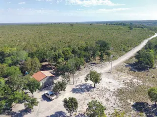 Fazenda, Rural, Zona Rural — leilão em Novo Acordo/TO
