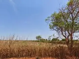 .'.Fazenda de Área 3005ha,Barra/BA.'. — leilão em Barra/BA