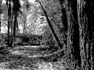 .'.50% de Imóvel Rural de Área 583.950,20m2, Monteiro Lobato/SP.'. — leilão em Monteiro Lobato/SP